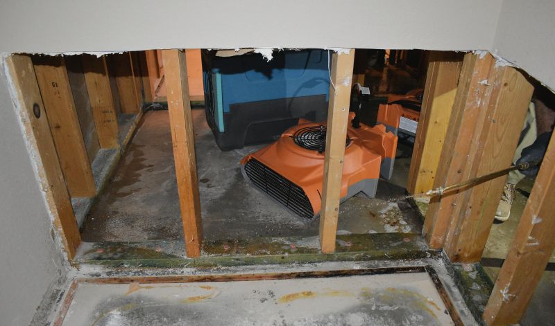 Crawl Space Water Remediation