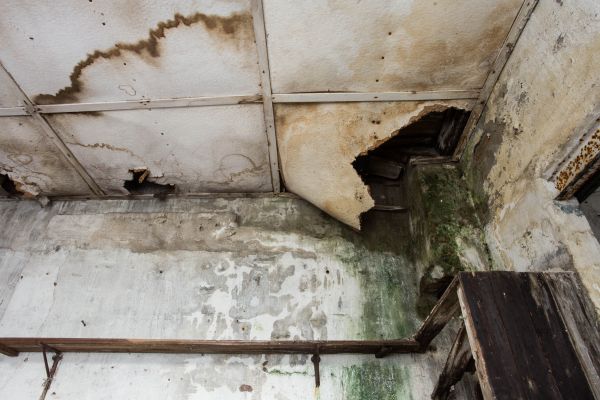 Water Damage Service in Buckeye