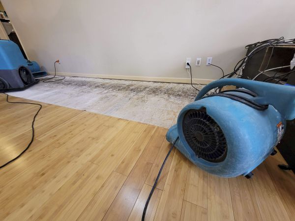 Water Damage Mitigation in Buckeye