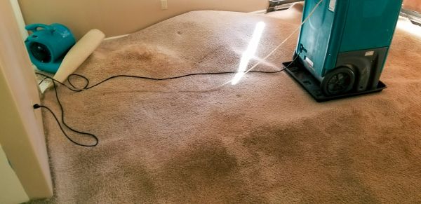 Carpet Water Extraction in Buckeye