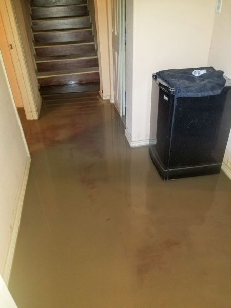 Emergency Water Removal in Buckeye